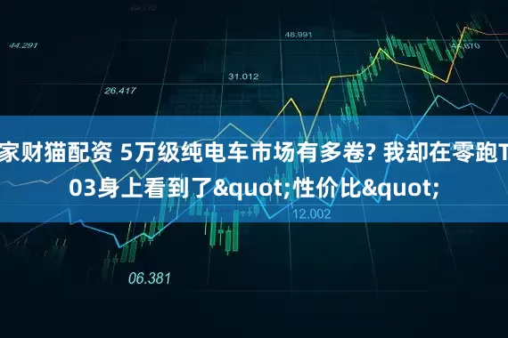 家财猫配资 5万级纯电车市场有多卷? 我却在零跑T03身上看到了"性价比"